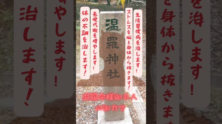 温羅命御本人の御力でストレスを抜きます！生活習慣病を治します！基礎代謝を増やします！体の不調を治します！#温羅 #温羅命 #鬼 #鬼神 #霊能力 #浄化 #除霊 #浄霊 #ヒーリング #霊能力者