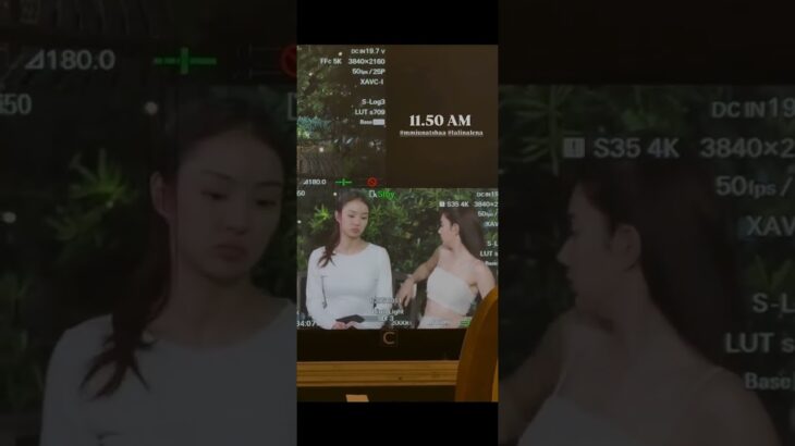 My tried puppy #mysafezone #lenamiu #gl #shortvideo #wlw #glseries#lenalorena