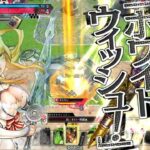 【wlw】サンド金筆（初心者向け）【ワンダーランドウォーズ】２０２５年５月１５日　福岡八部衆さんと対戦。