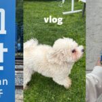 Daily vlog with the cutest puppy! 🐶💕* WLW * (sub)