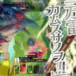 【wlw敗北】ワダツミ銅筆（初心者向け）【ワンダーランドウォーズ】２０２５年６月６日　福岡八部衆さんとバディーではないマッチ　まるでいいところ無しで戦犯になりましたね