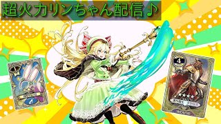 【WLW】まさかのアリ猿環境続行！？バ火力リンちゃんで抗っていく配信【Ryu配信】