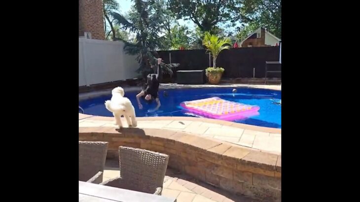 christina jumps in the pool for 41K subs😂 #chamber #christinapushing30 #wlw #christinaandamber