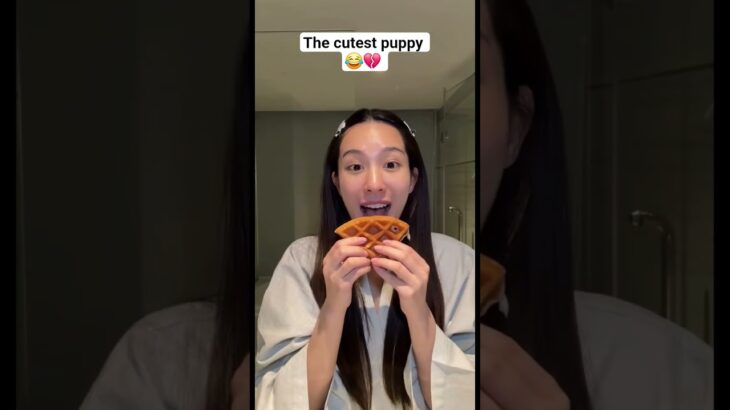 the cutest puppy 😂💔 #enjoyjune #deniedloveseries #wlw #glseries #junenannirin #shorts #foryou