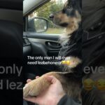 He is my protector #puppy #funnypet #funny #wlw