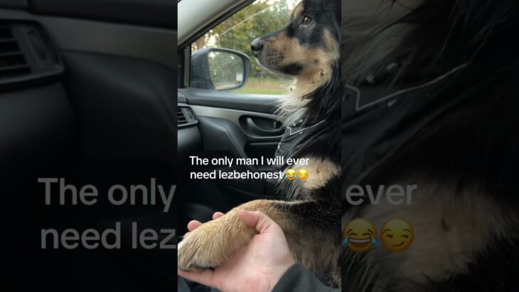 He is my protector #puppy #funnypet #funny #wlw