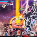 ヤンビコ,猿ゥ🐒☁️美猴 wlw フレマ ワンダーランドウォーズ 2025-08-16 16:46【らごてもと】