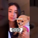 Ginjay|Jayna is Pet Lovers|#ginny #ginjal #poisonouslovetheseries #wlw #glseries #shorts #jayna