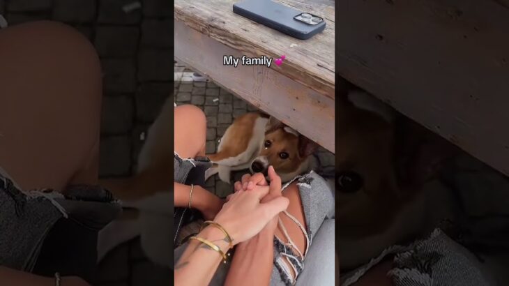 The tiniest moments are the biggest blessings ✨💛 #wlw #love #lesbian #memoriesforlife #doglover