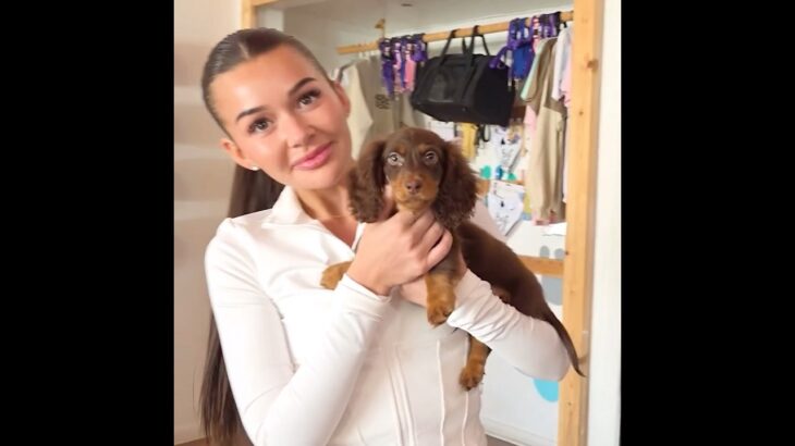 christina and amber look at puppies🥹#christinaandamber #chamber #wlw