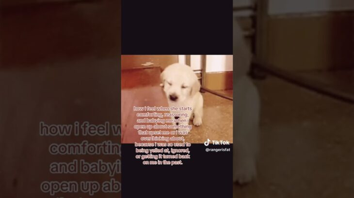 her voice genuinely makes me feel better #wlw #wlwtiktok #tiktok #repost