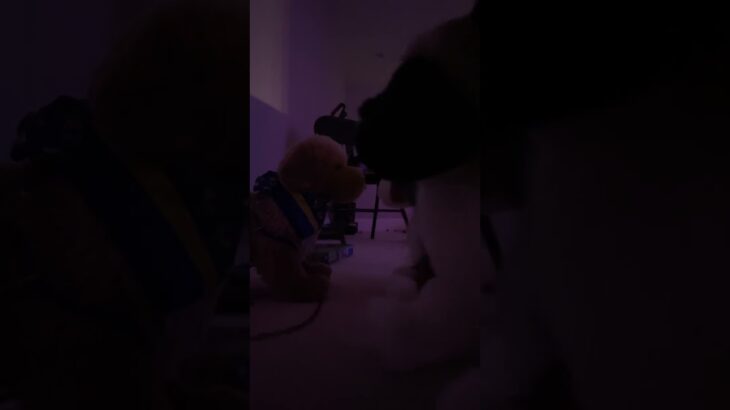 Both girls get togetherafter this 🫶🏽#wlw #LGBT+ #puppy #fypシ #myidea #essa #au