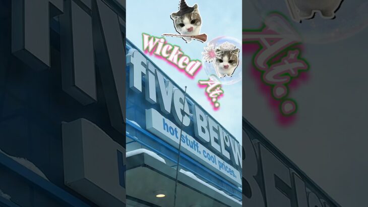 Came for Christmas decor left with wicked merch ✨ #fivebelow #wicked #wlw #lgbtqcouple