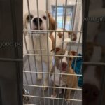 Dec 17, 2025 #vent #haveitoldyoulatelythatiloveyou #wlw