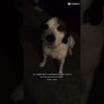 #haveitoldyoulatelythatiloveyou #wlw