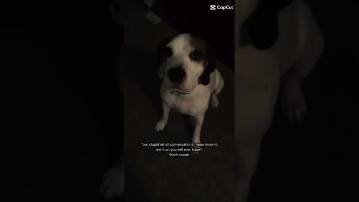 #haveitoldyoulatelythatiloveyou #wlw