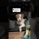 IG: _baddiegyal & magda_baddiegyals #wlw  #couplegoals