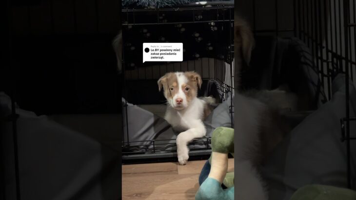 IG: _baddiegyal & magda_baddiegyals #wlw  #couplegoals