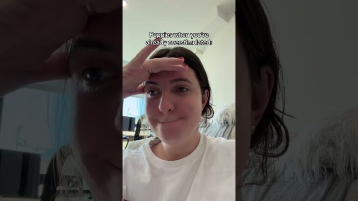 What happens when you’re already overstimulated #puppy #puppytiktok #overstimulated #wlw