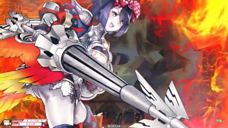 wlw スキルシュネー