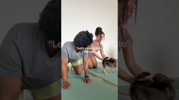 Puppy yoga #wlw #yoga #puppyyoga #daschund