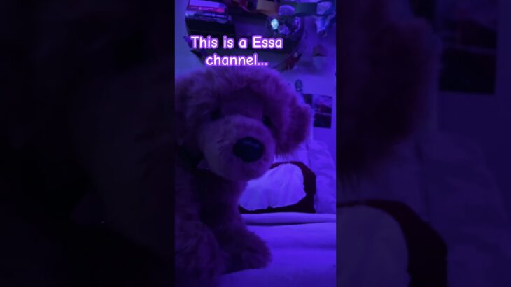 #essa #emotionalsupportstuffedanimal #therian #furry #fypシ #fyp #pride #pridemonth #art #wlw #puppy