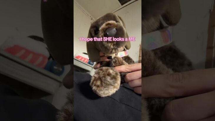 #essa #puppy #itz_jup1t3r #cute #essavideo #love #wlw