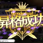 ヴァイス昇格戦
